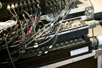 EGA_8599